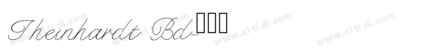 Theinhardt Bd字体转换